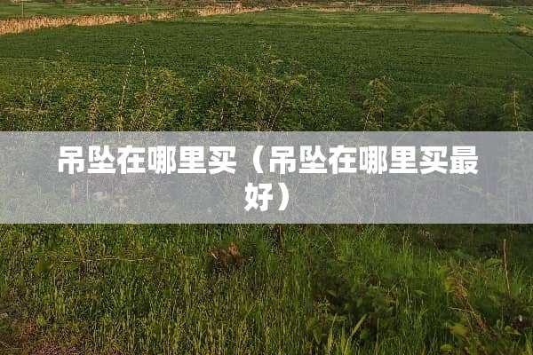 吊坠在哪里买（吊坠在哪里买最好）