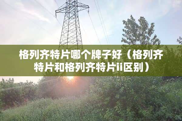 格列齐特片哪个牌子好（格列齐特片和格列齐特片ii区别）