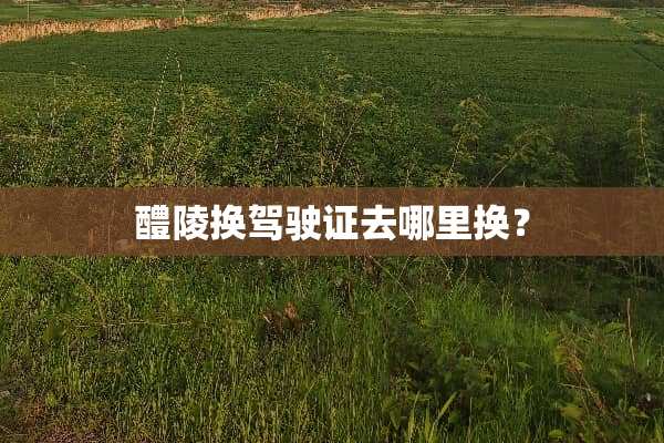 醴陵换***去哪里换？
