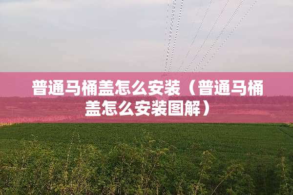 普通马桶盖怎么安装（普通马桶盖怎么安装图解）