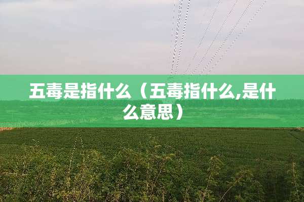 五毒是指什么（五毒指什么,是什么意思）