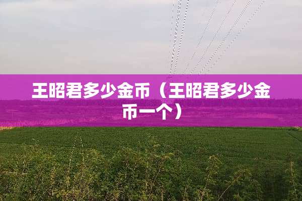 王昭君多少金币（王昭君多少金币一个）