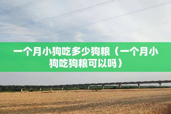 一个月小狗吃多少狗粮（一个月小狗吃狗粮可以吗）