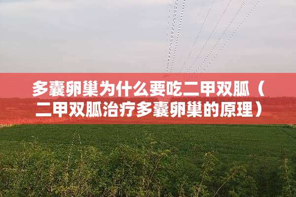 多囊卵巢为什么要吃二甲双胍（二甲双胍治疗多囊卵巢的原理）