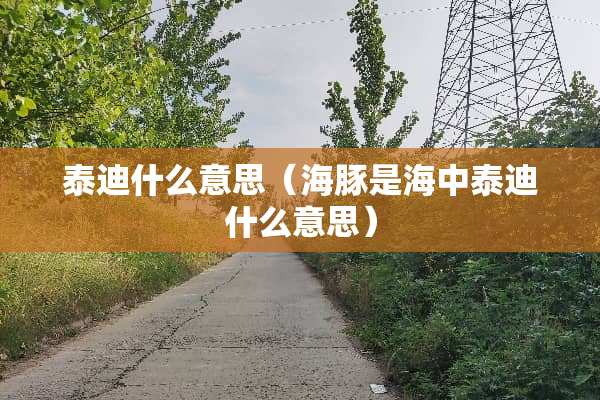 泰迪什么意思（海豚是海中泰迪什么意思）