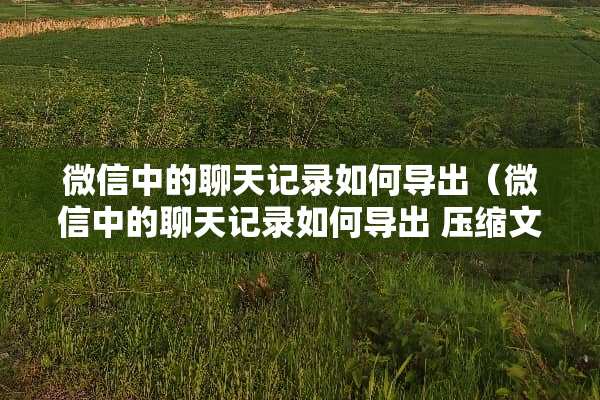 微信中的聊天记录如何导出（微信中的聊天记录如何导出 压缩文件）