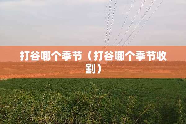 打谷哪个季节（打谷哪个季节收割）