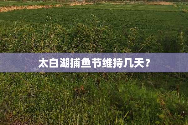 太白湖捕鱼节维持几天？