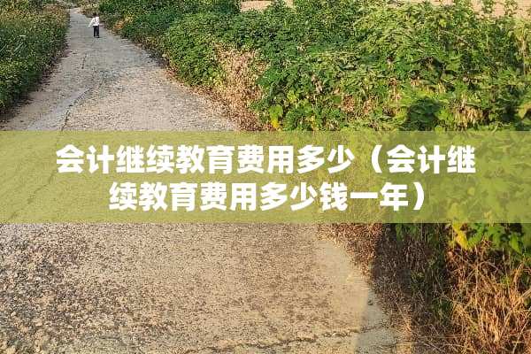 会计继续教育费用多少（会计继续教育费用多少钱一年）