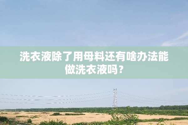 洗衣液除了用母料还有啥办法能做洗衣液吗？