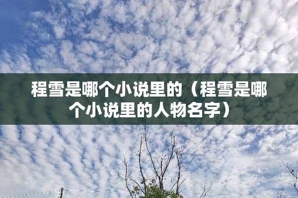 程雪是哪个小说里的（程雪是哪个小说里的人物名字）
