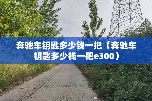 奔驰车钥匙多少钱一把（奔驰车钥匙多少钱一把e300）