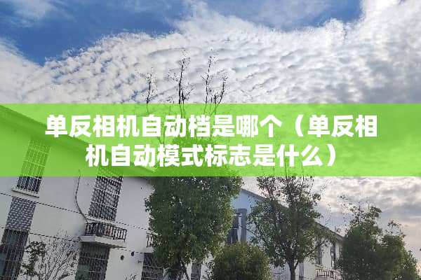 单反相机自动档是哪个（单反相机自动模式标志是什么）