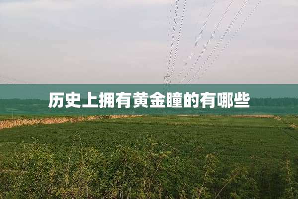 历史上拥有黄金瞳的有哪些