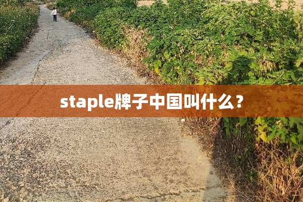 staple牌子中国叫什么？
