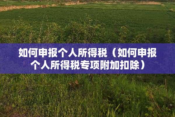 如何申报个人所得税（如何申报个人所得税专项附加扣除）