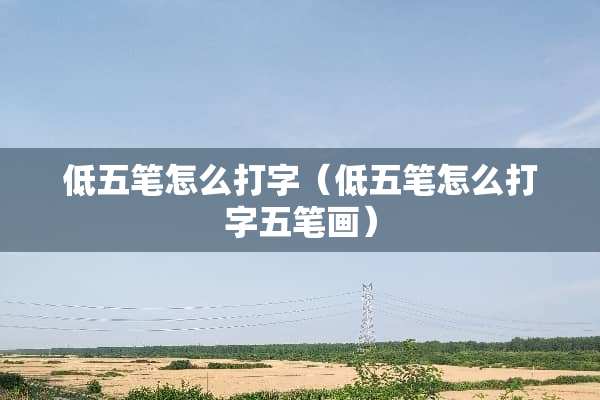 低五笔怎么打字（低五笔怎么打字五笔画）
