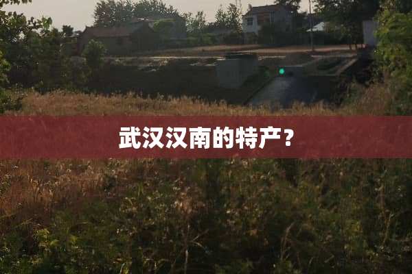 武汉汉南的特产？