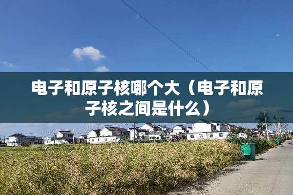 电子和**核哪个大（电子和**核之间是什么）