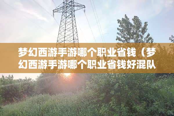 梦幻西游手游哪个职业省钱（梦幻西游手游哪个职业省钱好混队）