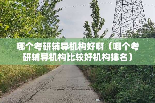 哪个考研辅导机构好啊（哪个考研辅导机构比较好机构排名）