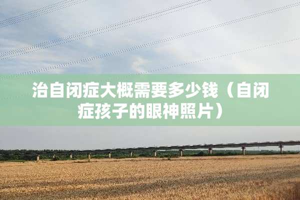 治自闭症大概需要多少钱（自闭症孩子的眼神照片）