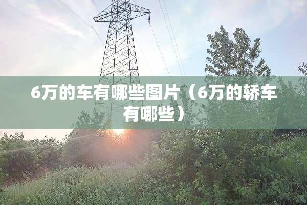 6万的车有哪些图片（6万的轿车有哪些）