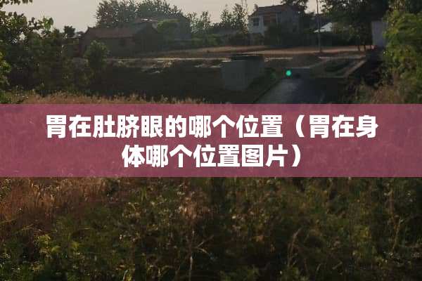 胃在肚脐眼的哪个位置（胃在身体哪个位置图片）