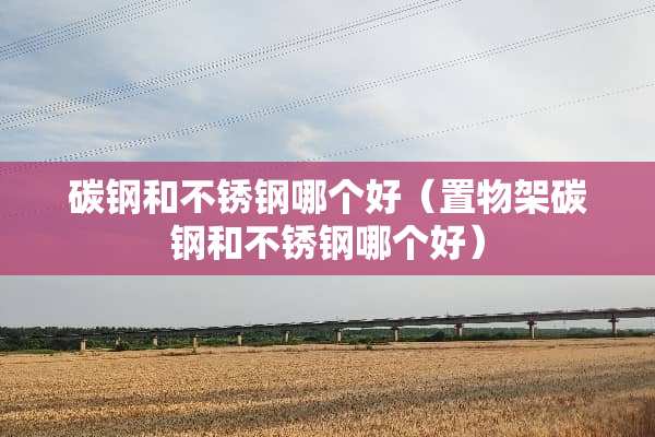 碳钢和不锈钢哪个好（置物架碳钢和不锈钢哪个好）