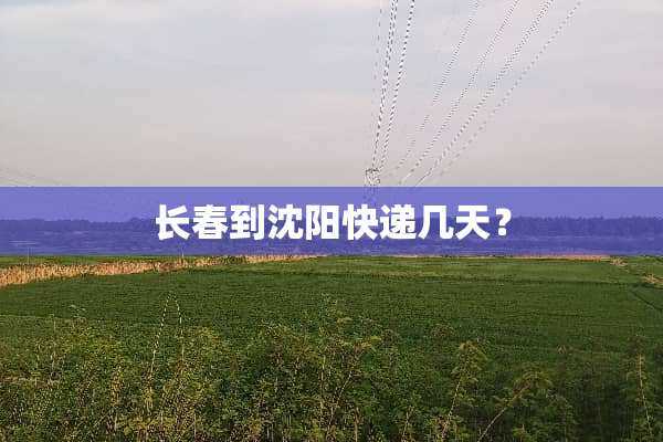 长春到沈阳快递几天？