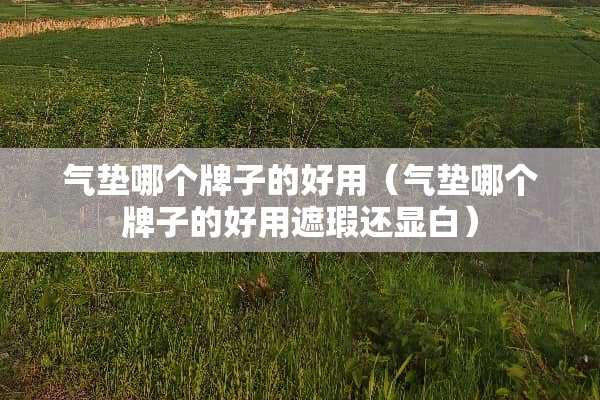 气垫哪个牌子的好用（气垫哪个牌子的好用遮瑕还显白）