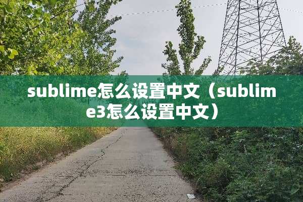 sublime怎么设置中文（sublime3怎么设置中文）