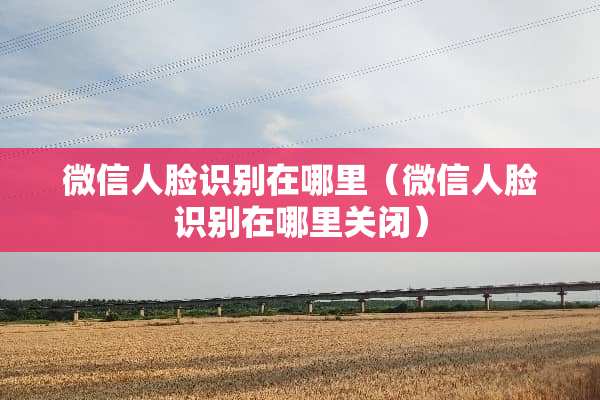 微信人脸识别在哪里（微信人脸识别在哪里关闭）