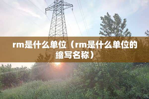 rm是什么单位（rm是什么单位的缩写名称）