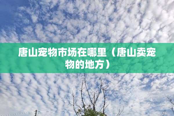 唐山宠物市场在哪里（唐山卖宠物的地方）