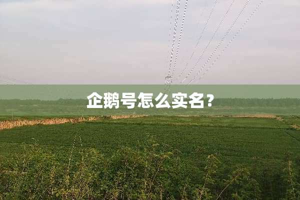 企鹅号怎么实名？