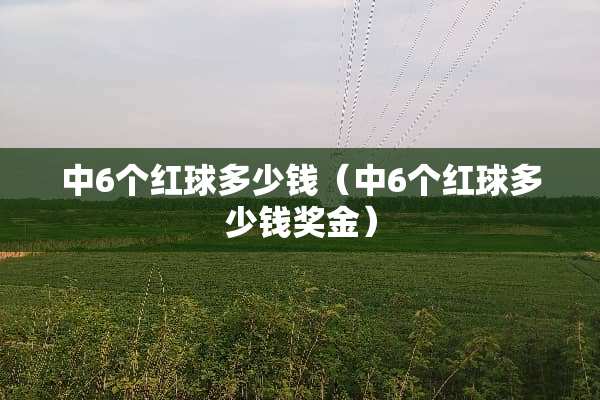 中6个红球多少钱（中6个红球多少钱奖金）