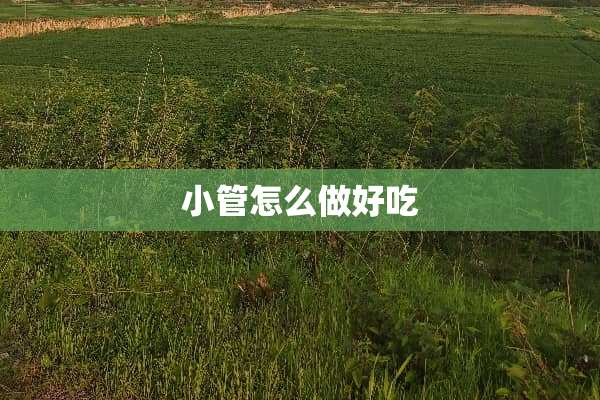 小管怎么做好吃