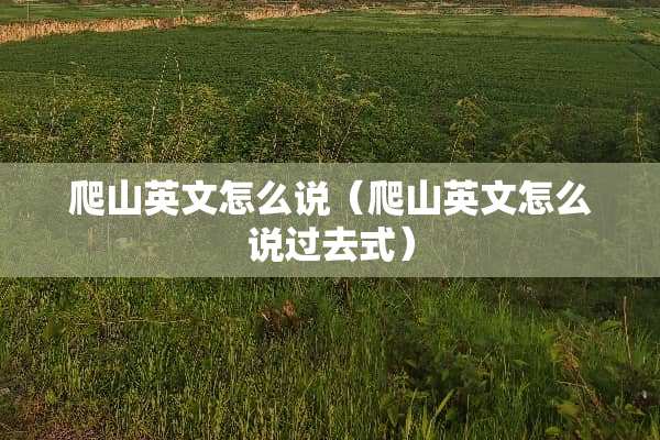 爬山英文怎么说（爬山英文怎么说过去式）