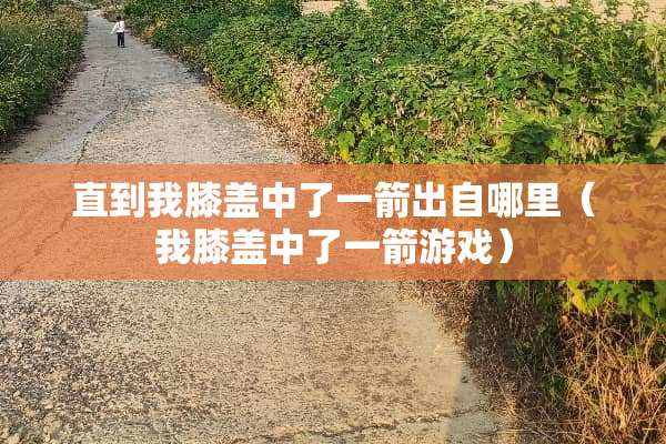 直到我膝盖中了一箭出自哪里（我膝盖中了一箭游戏）