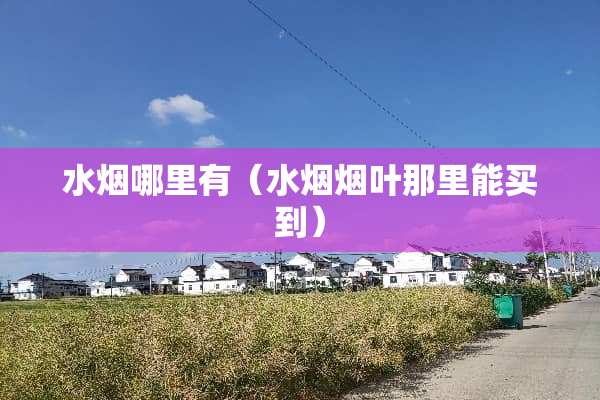 水烟哪里有（水烟烟叶那里能买到）