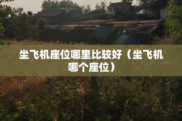 坐飞机座位哪里比较好（坐飞机哪个座位）