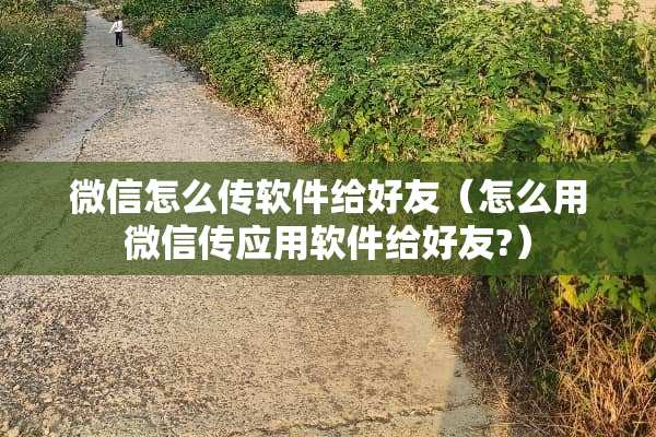 微信怎么传软件给好友（怎么用微信传应用软件给好友?）