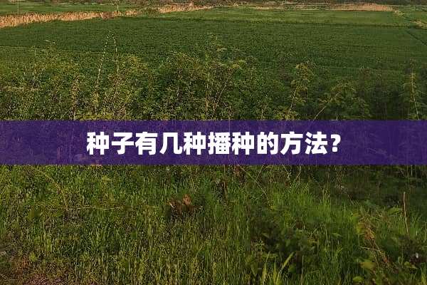 种子有几种播种的方法？