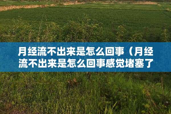 月经流不出来是怎么回事（月经流不出来是怎么回事感觉堵塞了13岁）