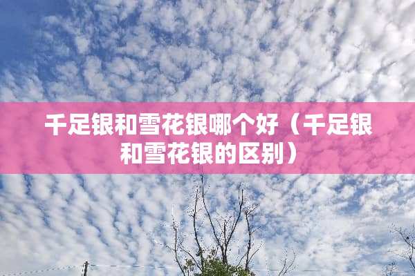 千足银和雪花银哪个好（千足银和雪花银的区别）