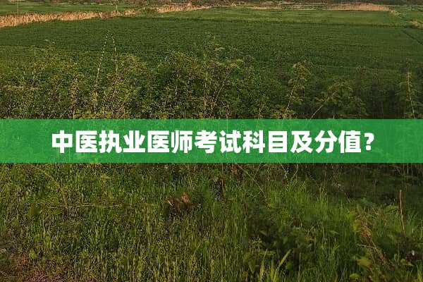 中医执业医师考试科目及分值？