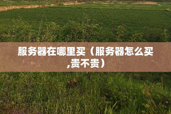 服务器在哪里买（服务器怎么买,贵不贵）