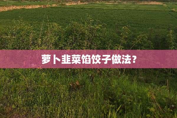 萝卜韭菜馅饺子做法？