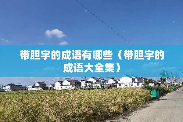 带胆字的成语有哪些（带胆字的成语大全集）